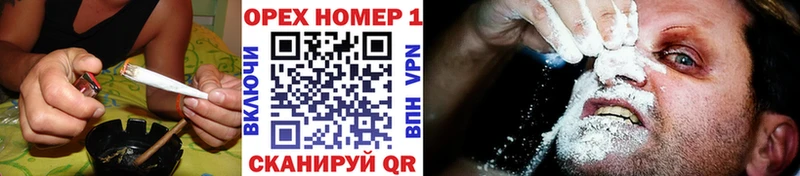 где купить наркотик  Ивангород  даркнет какой сайт  Cocaine 97%  MEGA маркетплейс 