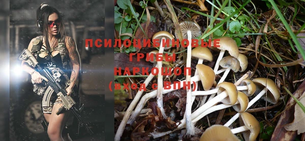 соль курить ск Горняк