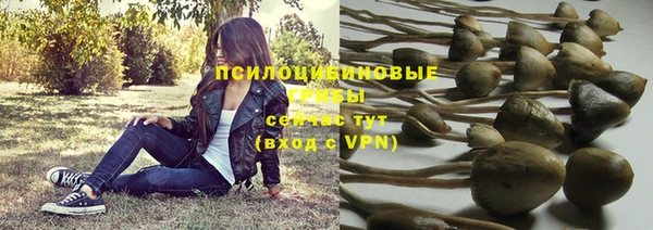 соль курить ск Горняк