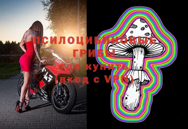 мдпв Горно-Алтайск